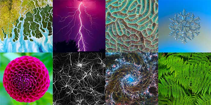 Doğadaki Fraktallar ve Mandelbrot Kümesi