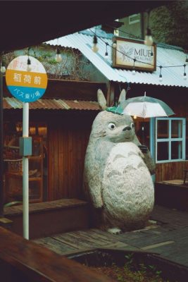 Studio Ghibli Komşum Totoro Apollon Kültür Kapak